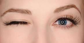 Foto: (Imagem sem texto alternativo disponivel ID [1169316])