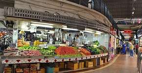 Foto: (Imagem sem texto alternativo disponivel ID [654113])