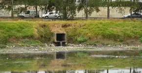 Celebridade foi flagrada nadando em esgoto a céu aberto no Brasil