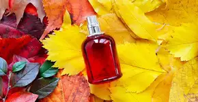 Perfume para o outono: 4 famílias olfativas ideais para a estação