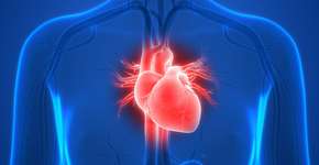 Foto: (Getty Images)