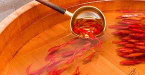 Foto: (Imagem sem texto alternativo disponivel ID [351666])