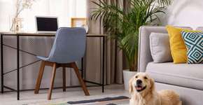 Foto: (Imagem sem texto alternativo disponivel ID [2755496])