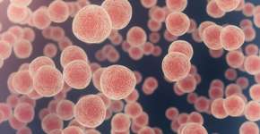 Foto: (iStock/Jezperklauzen)