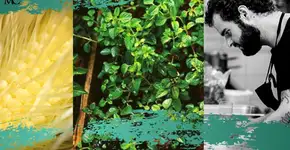 Restaurante brasileiro é referência mundial de sustentabilidade