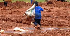 Foto: (Imagem sem texto alternativo disponivel ID [1088408])