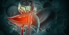 Foto: (iStock/Mohammed Haneefa Nizamudeen)