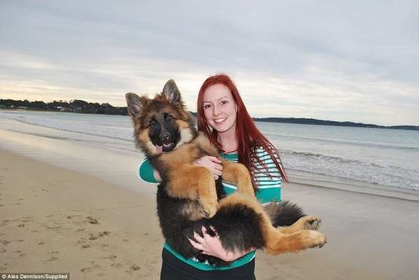 Imagem:  © Alex Dennison