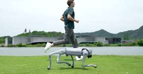 Foto: (Imagem sem texto alternativo disponivel ID [2587061])