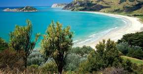 Foto: (Imagem sem texto alternativo disponivel ID [598551])