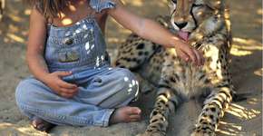 Foto: (Imagem sem texto alternativo disponivel ID [440693])