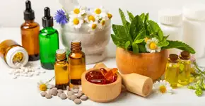 Plantas medicinais e fitoterápicos: veja os benefícios para a saúde