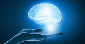 Foto: (Imagem sem texto alternativo disponivel ID [2589010])