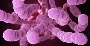 Foto: (iLexx/istock)