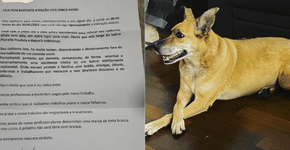 Família recebe carta anônima com ameaça de morte à cadela