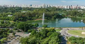 Foto: (Phaelnogueira/istock)