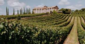 Foto: (Divulgação)