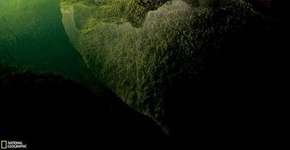 Foto: (Imagem sem texto alternativo disponivel ID [1864231])