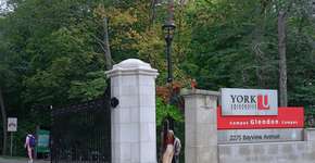 Foto: (peterspiro/iStock)