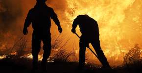 Entenda as causas e as consequências dos incêndios na Austrália