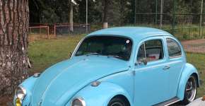 Foto: (Imagem sem texto alternativo disponivel ID [2249743])