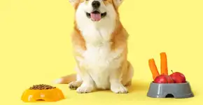 Foto: (Imagem sem texto alternativo disponivel ID [2697883])