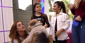 ‘Criança não mente’, diz veterinária ao pedir retratação da Globo