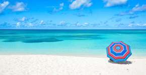 Foto: (Getty Images/iStockphoto)