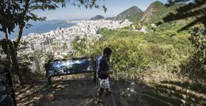 Foto: (Imagem sem texto alternativo disponivel ID [1867481])