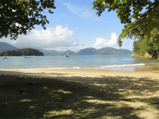 Praia do Pulso, em Ubatuba