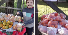 Família oferece em sua casa frutas gratuitas a quem quiser pegar