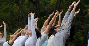 Arte de Viver promove atividades gratuitas de yoga e meditação