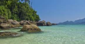 Foto: (Imagem sem texto alternativo disponivel ID [1868859])