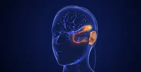 Cientistas criam dispositivo que é capaz de ouvir os sinais de Alzheimer; entenda