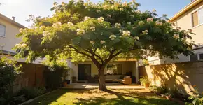 Foto: (Imagem sem texto alternativo disponivel ID [2716898])