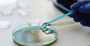 Estudo revela presença bactérias em saladas prontas para consumo