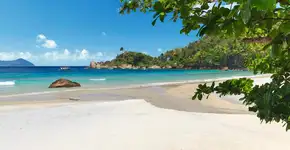 Foto: (Divulgação)