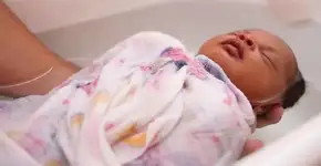 Foto: (Imagem sem texto alternativo disponivel ID [1606303])