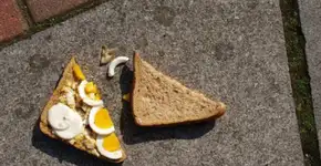 Adeus ao mito: a verdade por trás de pegar comida do chão antes de 5 segundos