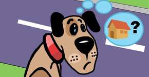 Foto: (Imagem sem texto alternativo disponivel ID [297335])