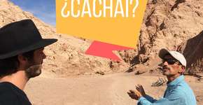 Foto: (Imagem sem texto alternativo disponivel ID [1104611])