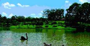 Parque do Carmo tem aulas gratuitas de Lian Gong