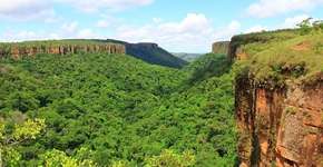 3 roteiros para fazer com os amigos