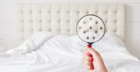 Foto: (SementsovaLesia/istock)