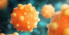 Foto: (urfinguss/istock)