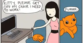 Divertidas ilustrações refletem a vida de quem possui gatos