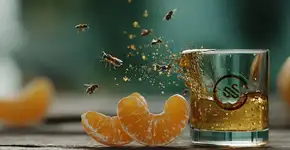 Essa fruta espanta mosquitos e ainda melhora sua imunidade