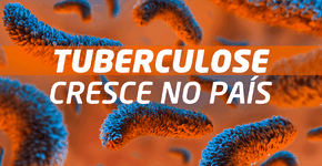 Foto: (Imagem sem texto alternativo disponivel ID [1772419])