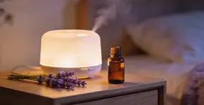 Foto: (Imagem sem texto alternativo disponivel ID [2675146])