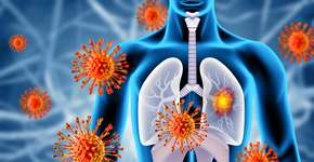 Foto: (Mohammed Haneefa Nizamudeen/istock)